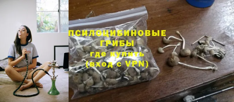 Галлюциногенные грибы MAGIC MUSHROOMS Болохово